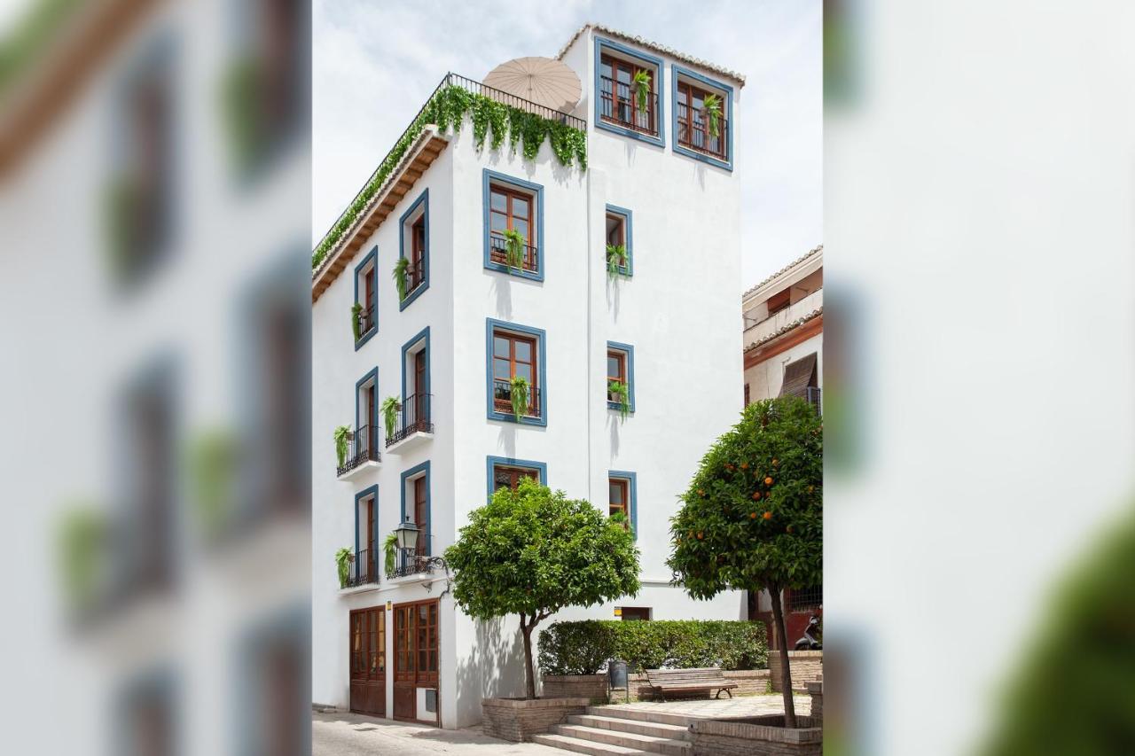 Apartamento El Sueño De Elvira *